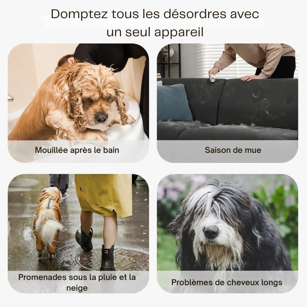 Kit de toilettage pour chien 7 en 1