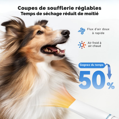 Kit de toilettage pour chien 7 en 1