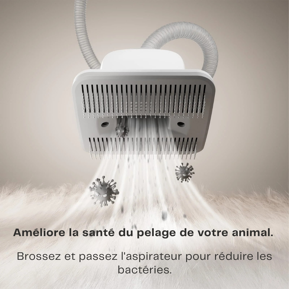 Kit de toilettage pour chien 7 en 1
