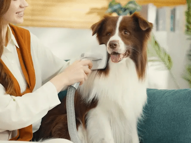 Kit de toilettage pour chien 7 en 1