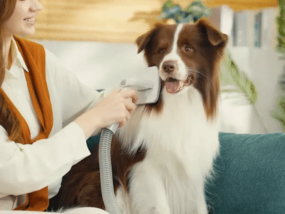 Kit de toilettage pour chien 7 en 1